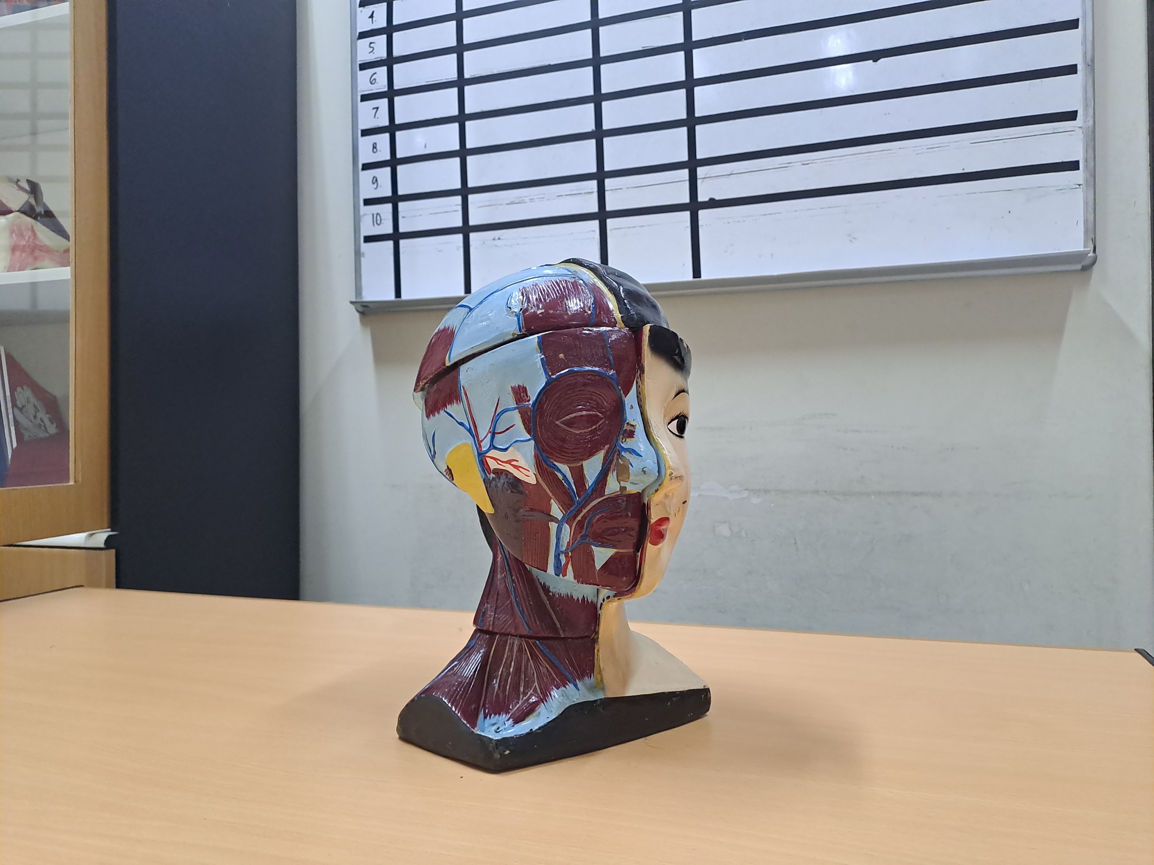 Pengumuman Nilai Akhir Praktikum Psikologi Faal PTA 2024/2025